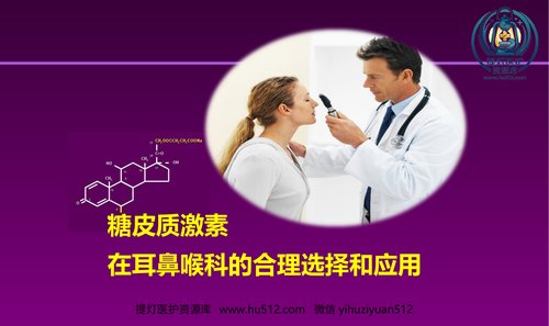 a00784 甲强龙PIM幻灯-耳鼻喉科 20页PPT文档可编辑无水印直接可用