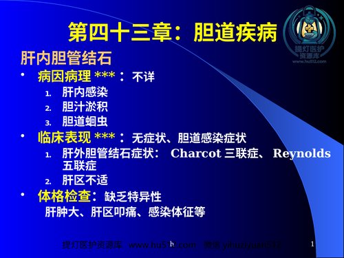 a00828 《肝内胆管结石》 20页PPT文档可编辑无水印直接可用
