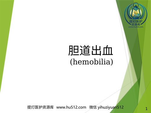 a00851 胆道出血PPT 20页PPT文档可编辑无水印直接可用