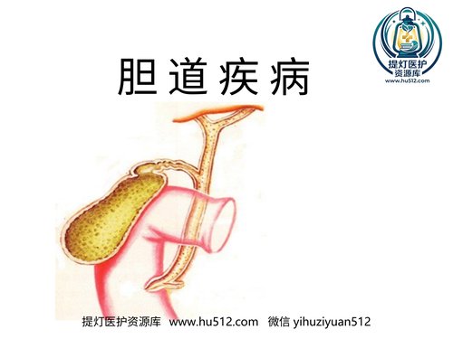 a00853 胆道疾病(1) 20页PPT文档可编辑无水印直接可用