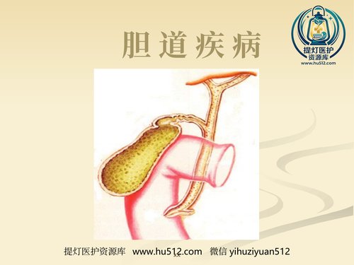 a00884 胆道外科 20页PPT文档可编辑无水印直接可用