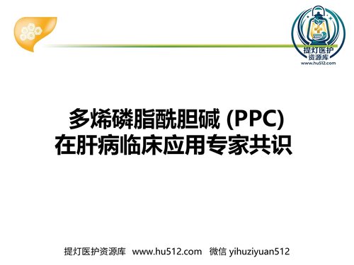 a00932 多烯磷脂酰胆碱在肝病临床应用专家共识 20页PPT文档可编辑无水印直接可用