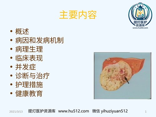 a00951 读书报告原发性肝癌 20页PPT文档可编辑无水印直接可用
