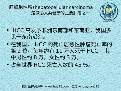 a01099 肝癌的早期诊断 20页PPT文档可编辑无水印直接可用