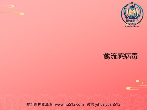 a01108 禽流感病毒2021PPT 20页PPT文档可编辑无水印直接可用