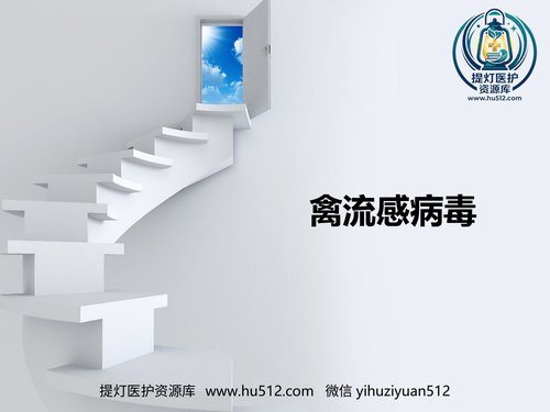 a01112 禽流感病毒 20页PPT文档可编辑无水印直接可用