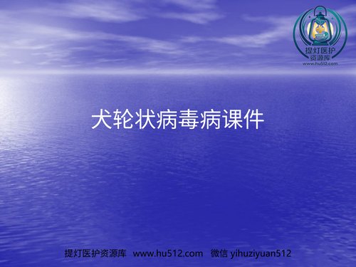 a01113 犬轮状病毒病PPT讲稿 20页PPT文档可编辑无水印直接可用