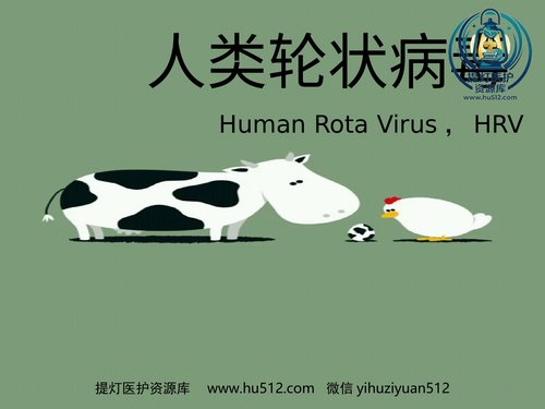 a01117 人类轮状病毒 20页PPT文档可编辑无水印直接可用