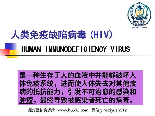 a01118 人类免疫缺陷病毒(HIV) 20页PPT文档可编辑无水印直接可用