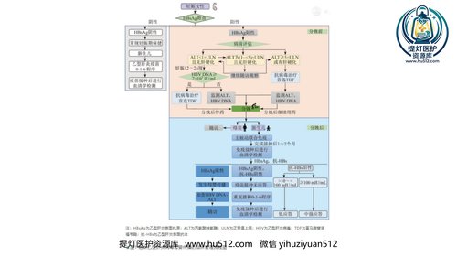 a01131 一图理解阻断乙型肝炎病毒母婴传播临床管理流程(2021年) 20页PPT文档可编辑无水印直接可用