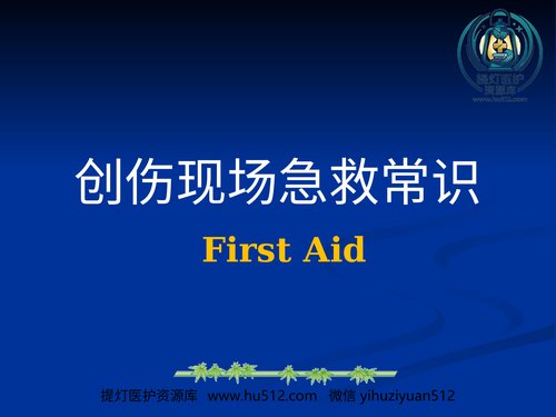 a01186 创伤的急救 20页PPT文档可编辑无水印直接可用