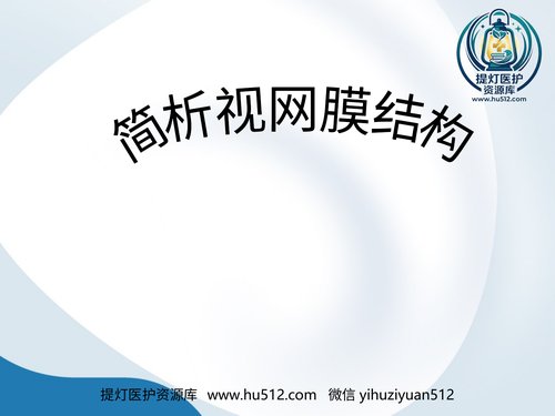 a01208 简析视网膜结构 20页PPT文档可编辑无水印直接可用