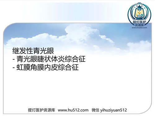 a01219 继发性青光眼(1) 20页PPT文档可编辑无水印直接可用