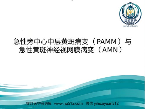 a01221 急性旁中心中层黄斑病变(PAMM)与急性黄斑神经视网膜病变(AMN) 20页PPT文档可编辑无水印直接可用
