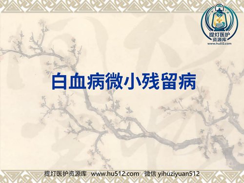 a01307 白血病微小残留病灶 64页PPT文档可编辑无水印直接可用