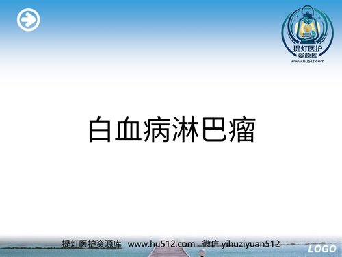 a01310 白血病淋巴瘤ppt 96页PPT文档可编辑无水印直接可用