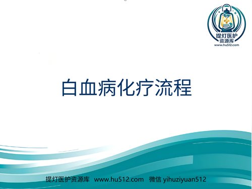 a01316 白血病化疗流程 23页PPT文档可编辑无水印直接可用