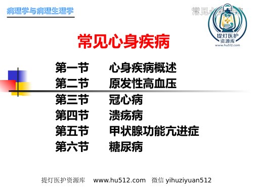 a01380 常见心身疾病 65页PPT课件可编辑无水印直接可用
