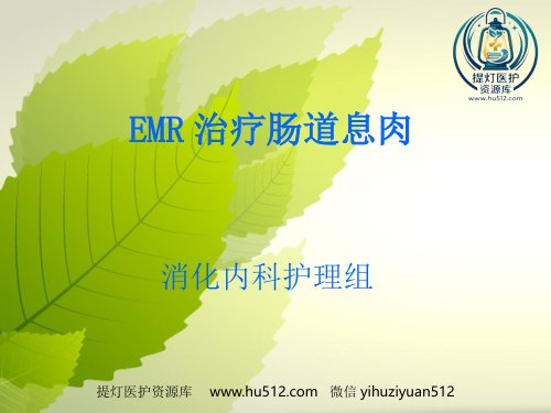 a01386 emr治疗肠道息肉36页PPT(1) 36页PPT课件可编辑无水印直接可用