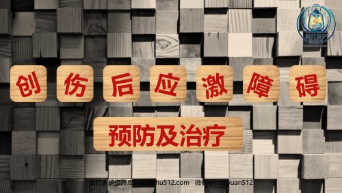 a01398 创伤后应激障碍预防及治疗 28页PPT课件可编辑无水印直接可用