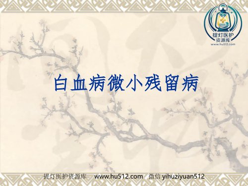 a01404 白血病微小残留病灶 64页PPT课件可编辑无水印直接可用