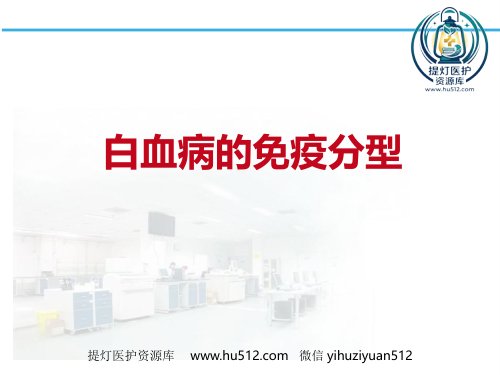 a01406 白血病淋巴瘤免疫分型 34页PPT课件可编辑无水印直接可用
