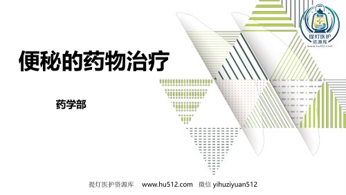 a01408 便秘的药物治疗 19页PPT课件可编辑无水印直接可用