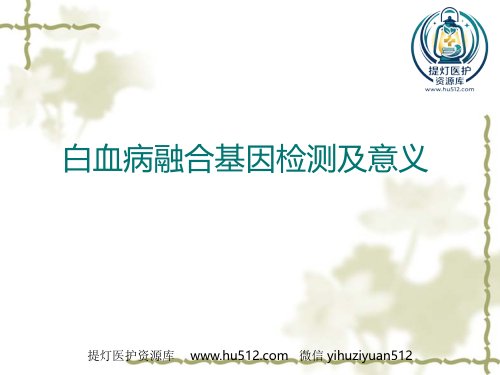 a01409 白血病基因筛查 49页PPT课件可编辑无水印直接可用