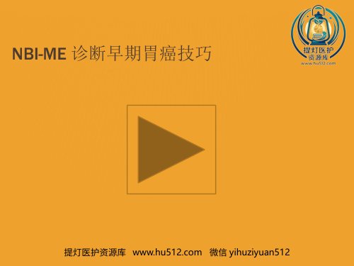 a01418 NBI-ME诊断早期胃癌技巧 23页PPT课件可编辑无水印直接可用