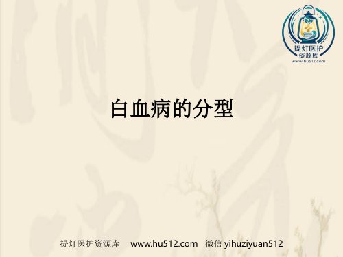 a01419 白血病的分型 27页PPT课件可编辑无水印直接可用