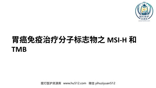 a01430 胃癌免疫治疗分子标志物之MSI-H和TMB 34页PPT课件可编辑无水印直接可用
