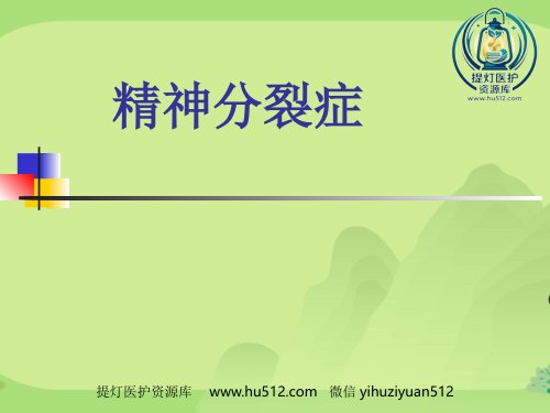 a01438 精神分裂症汇总 50页PPT课件可编辑无水印直接可用