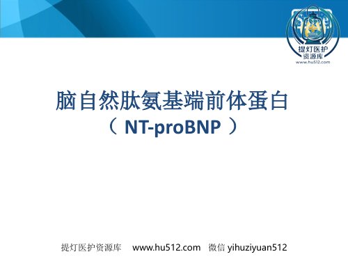 a01476 NT-proBNP(脑钠肽)临床意义 46页PPT课件可编辑无水印直接可用