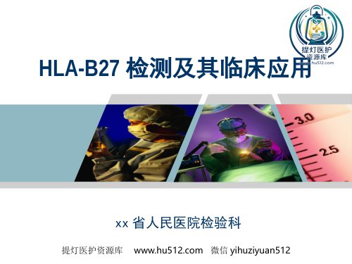 a01486 HLA-B27检测及其临床应用 17页PPT课件可编辑无水印直接可用
