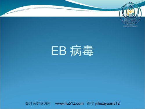 a01499 EB病毒的临床意义 47页PPT课件可编辑无水印直接可用