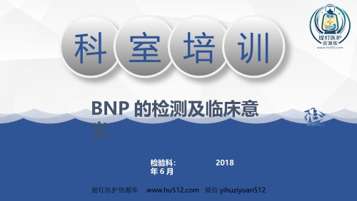 a01515 BNP概述检测原理及临床意义 23页PPT课件可编辑无水印直接可用