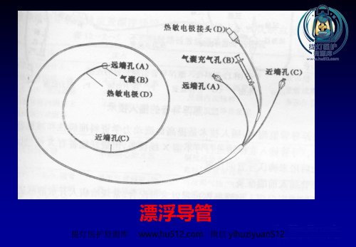 a01624 《心脏介入治疗》ppt课件 86页PPT课件可编辑无水印直接可用