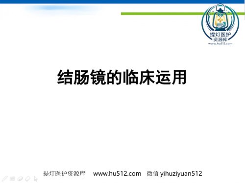 a01632 肠镜的临床应用 PPT 60页PPT课件可编辑无水印直接可用