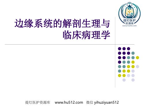 a01646 边缘系统的解剖与临床 39页PPT课件可编辑无水印直接可用