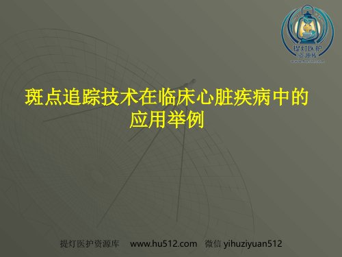 a01658 斑点追踪成像技术在临床心脏疾病中的应用文献复习 35页PPT课件可编辑无水印直接可用