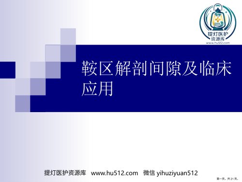a01665 鞍区解剖间隙及临床应用PPT 21页PPT课件可编辑无水印直接可用
