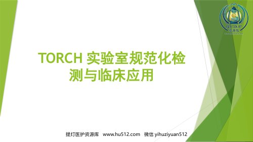 a01676 TORCH实验室规范化检测与临床应用 38页PPT课件可编辑无水印直接可用