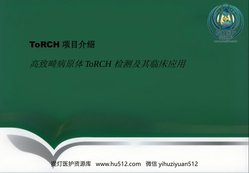 a01677 ToRCH检测流程及其临床应用 28页PPT课件可编辑无水印直接可用