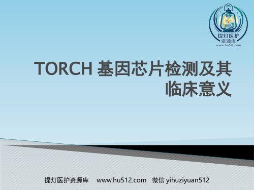 a01678 TORCH基因芯片检测及其临床意义 21页PPT课件可编辑无水印直接可用