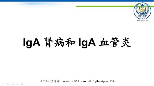 a01692 IgA肾病和IgA血管炎 39页PPT课件可编辑无水印直接可用