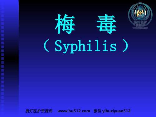 a01695 and 梅毒 79页PPT课件可编辑无水印直接可用