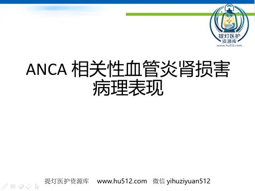 a01702 ANCA相关性血管炎肾损害病理表现 17页PPT课件可编辑无水印直接可用