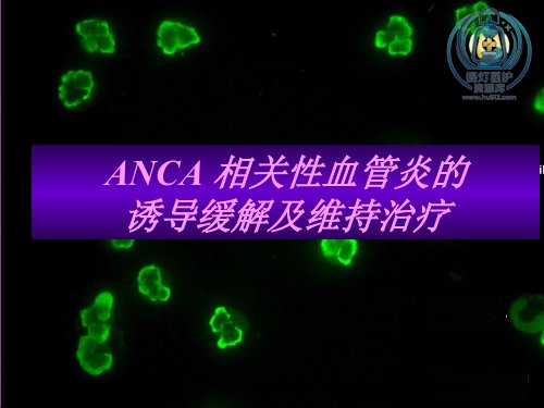a01705 ANCA相关性血管炎的诱导缓解及维持治疗进展 47页PPT课件可编辑无水印直接可用