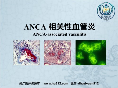 a01707 ANCA相关性血管炎ppt课件 37页PPT课件可编辑无水印直接可用