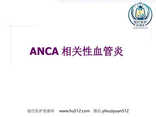 a01710 ANCA相关性血管炎 17页PPT课件可编辑无水印直接可用